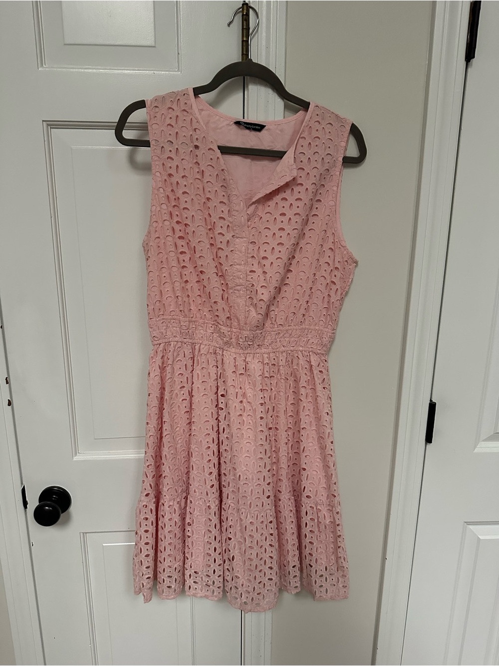 Sleeveless Pink Eyelet Fit & Flare Mini Dress